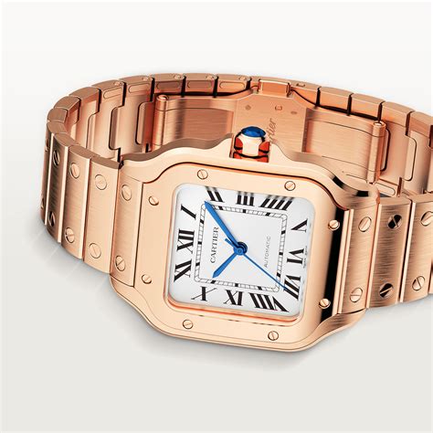 which cartier watch to buy.